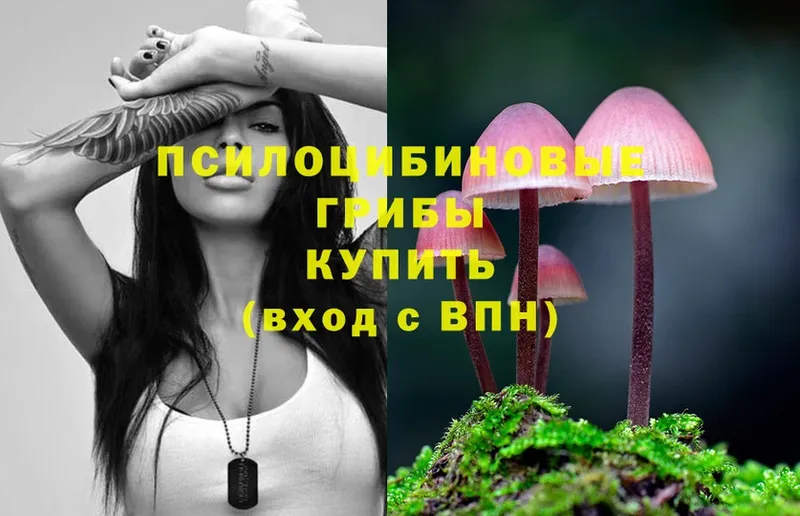 Псилоцибиновые грибы мухоморы  Ужур 